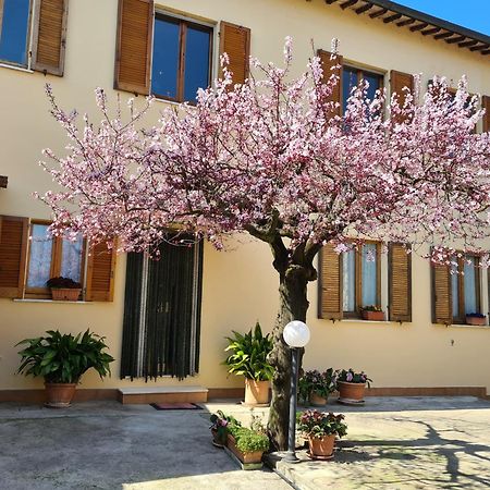 B&B Barbara Assisi Cannara Exterior foto