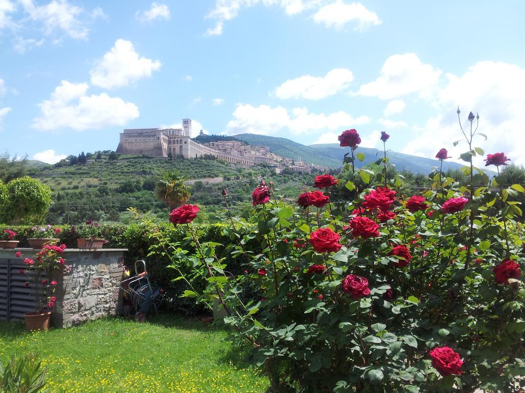 B&B Barbara Assisi Cannara Habitación foto
